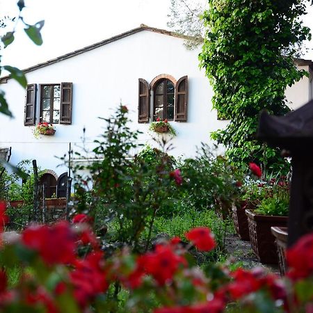 Villa Prato A Baldo Massa Marittima Esterno foto
