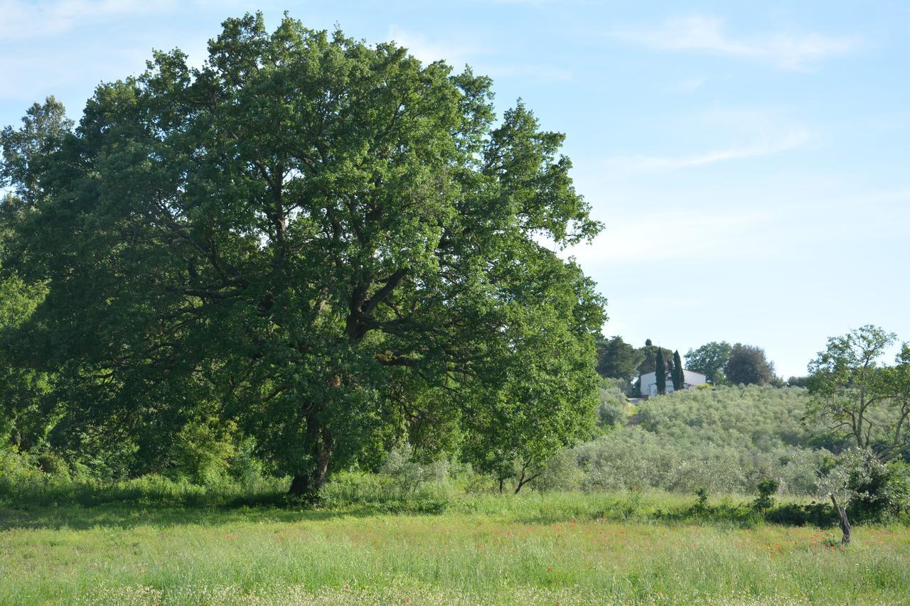 Villa Prato A Baldo Massa Marittima Esterno foto